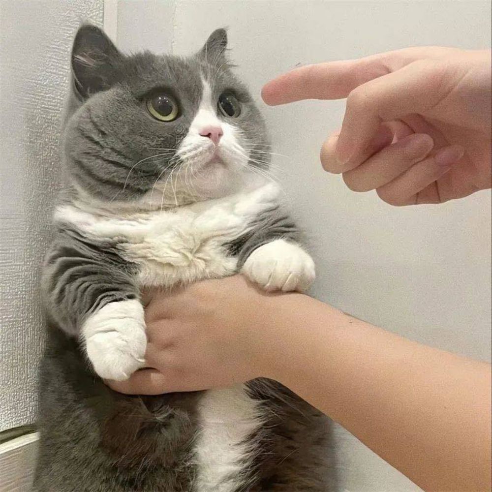 AC