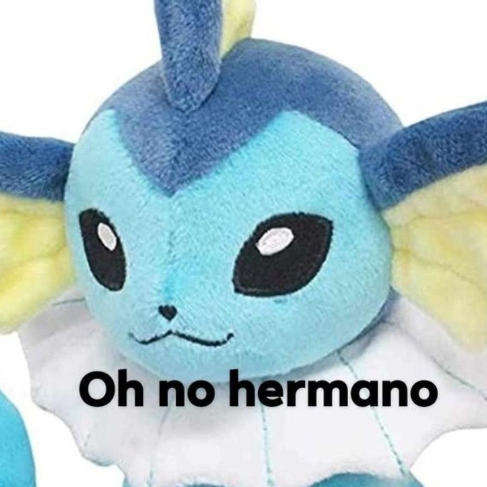Termo de agua