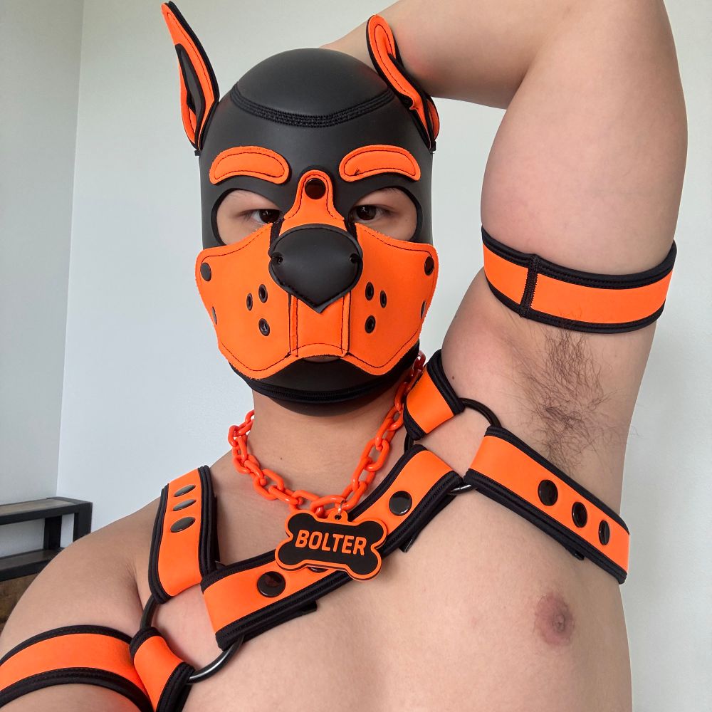 Pup Bolter 🔜 K9 Campout