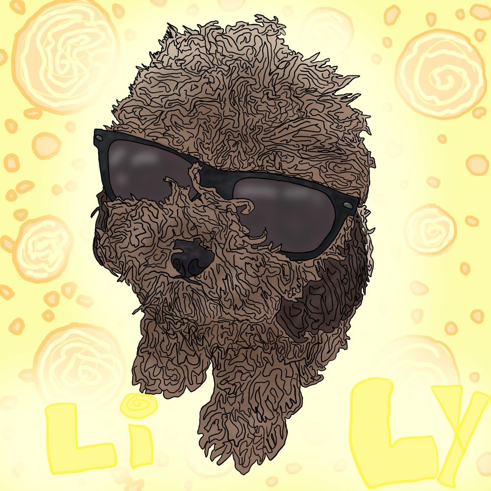 Profile picture noodle31poodle.bsky.social