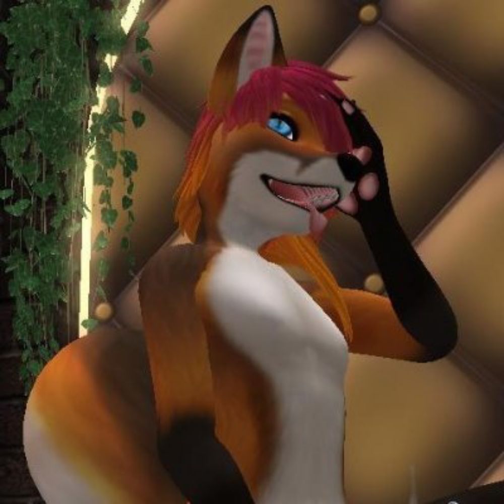 KnottyFox