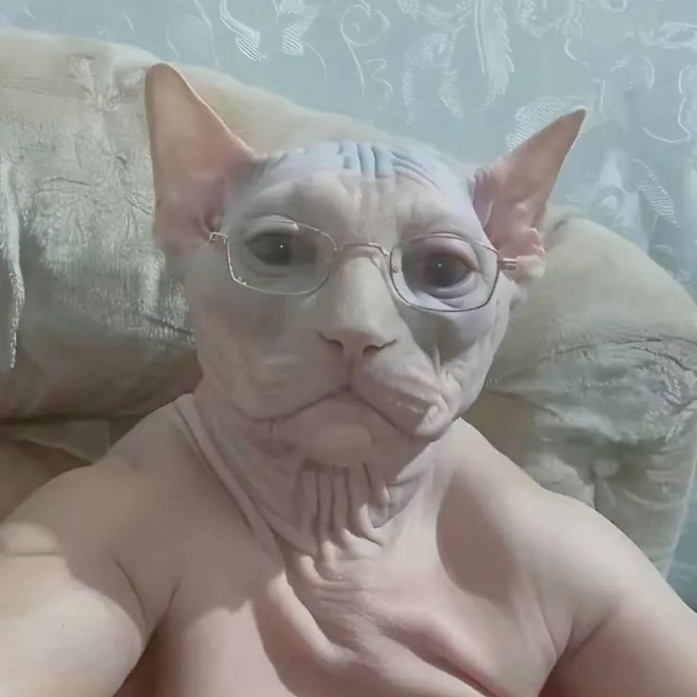 Kozioł