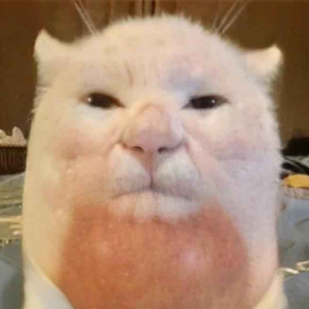Retsub