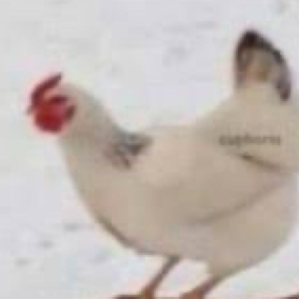 Alguem