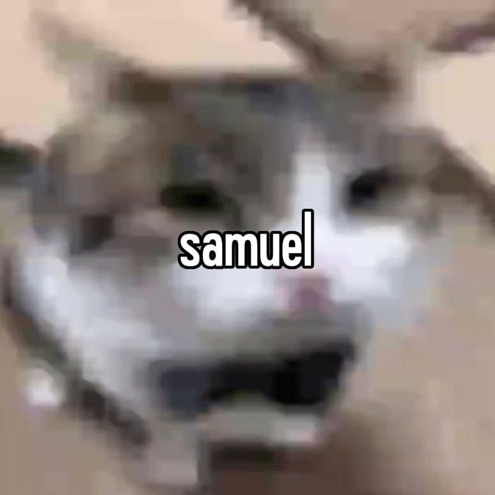 shmuel