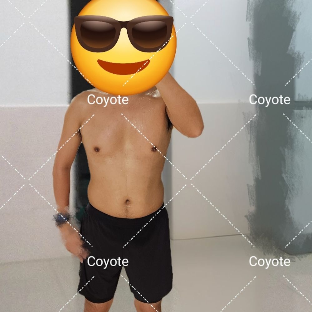 Coyote