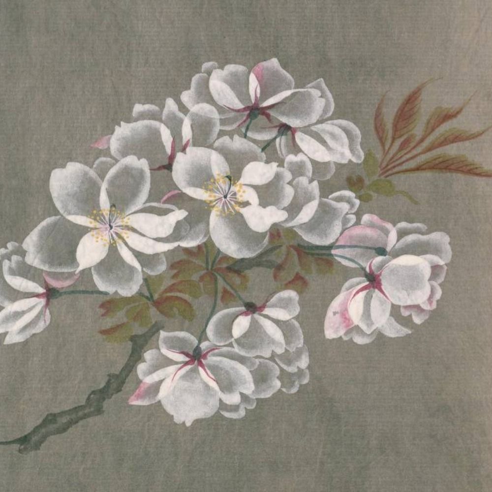 裏野