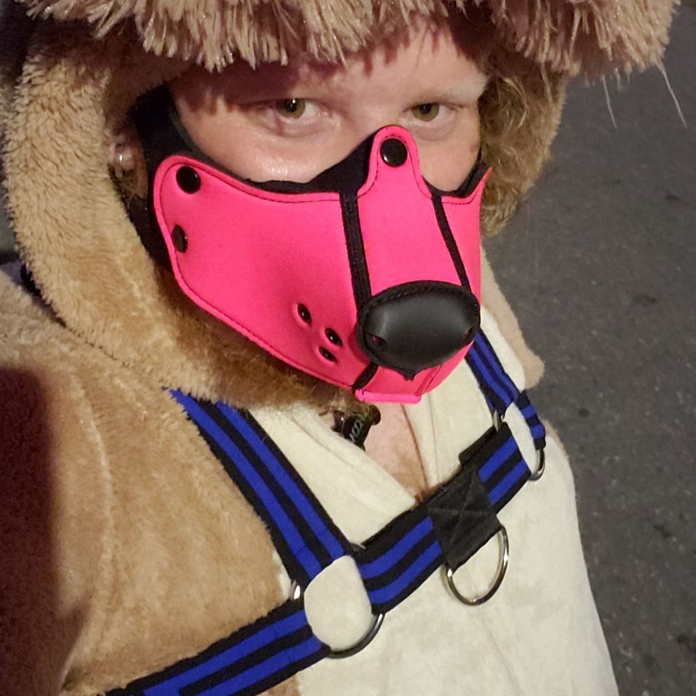 Pup Bacchus
