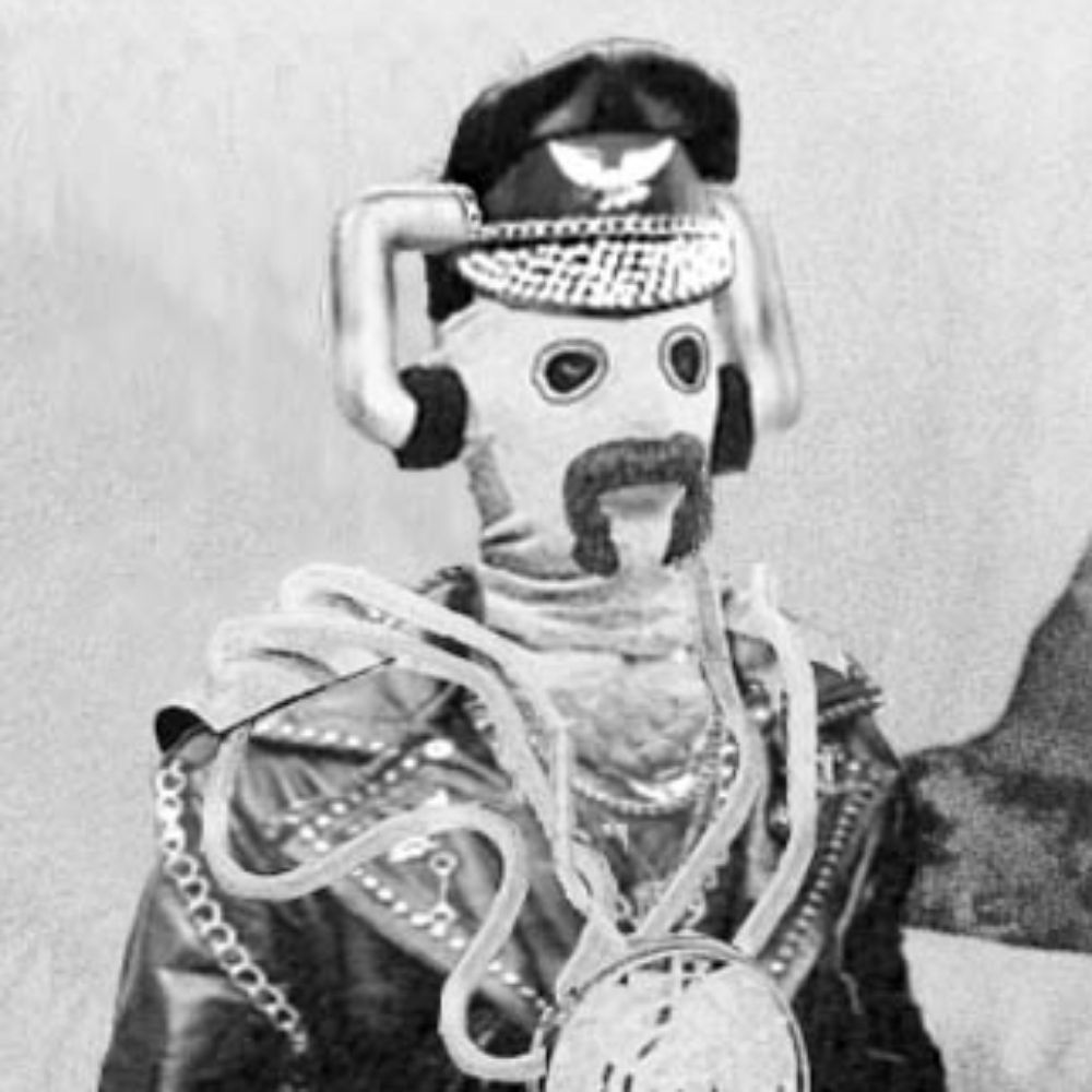 Professor Stephen Hawkwind