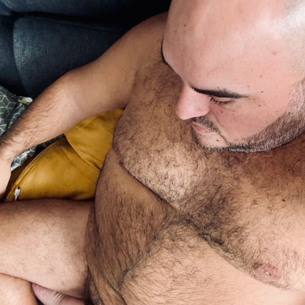 SupR Bear