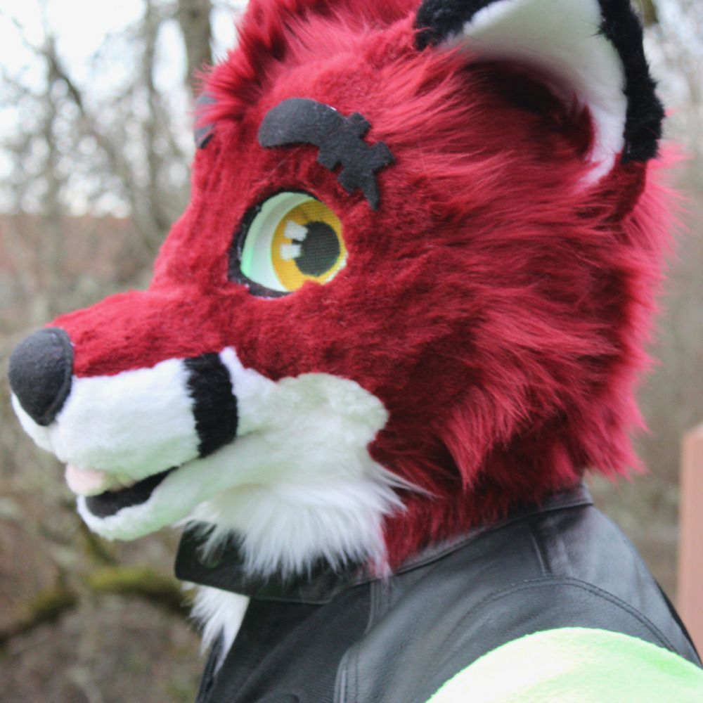 Zettabit Fox