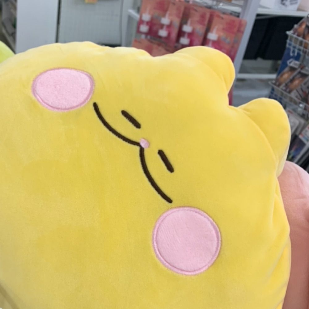 こっこ