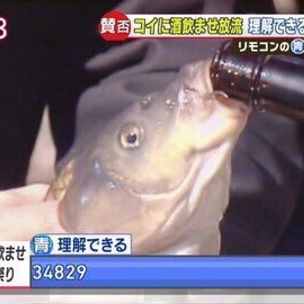 りけん