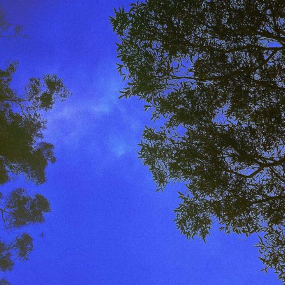 ✦ 𝐂𝐚𝐫𝐭𝐨𝐨𝐧 𝐁𝐨𝐭𝐭𝐥𝐞 ✦