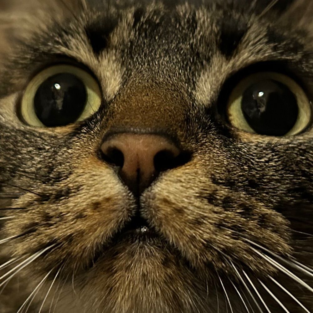 tronki