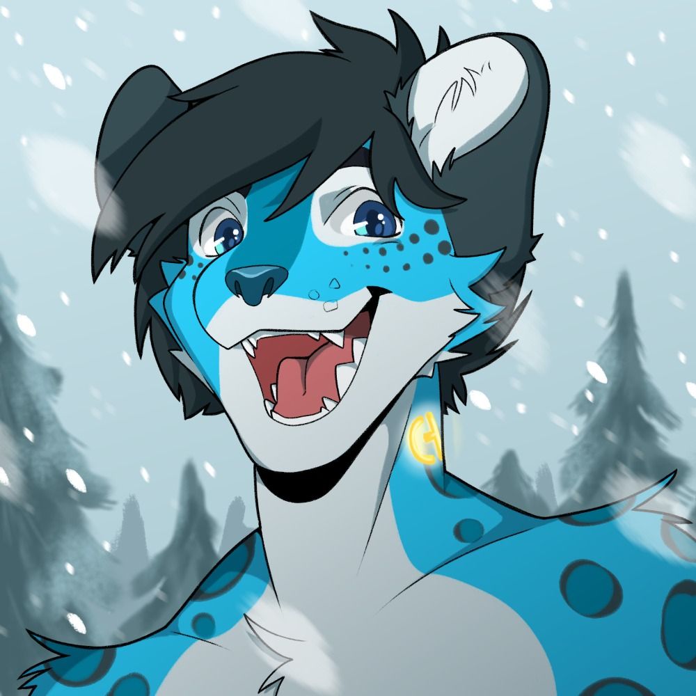 SnowVoid