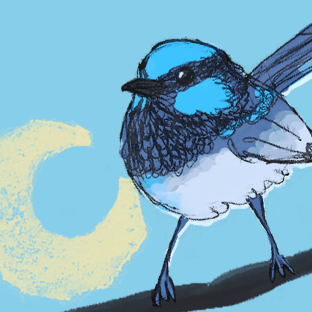 jay the bird