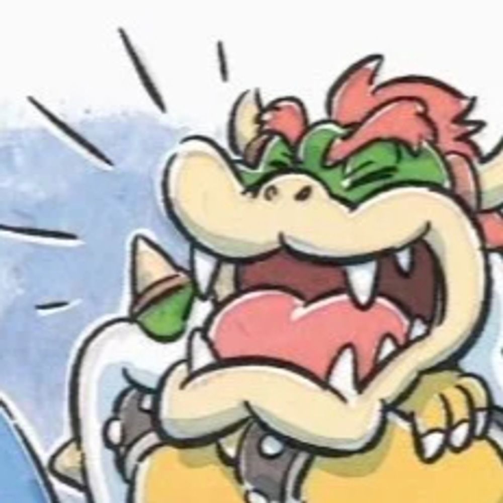 💢BOWSER💢
