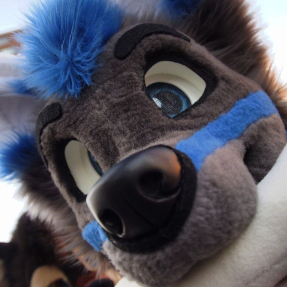 REXOThehusky