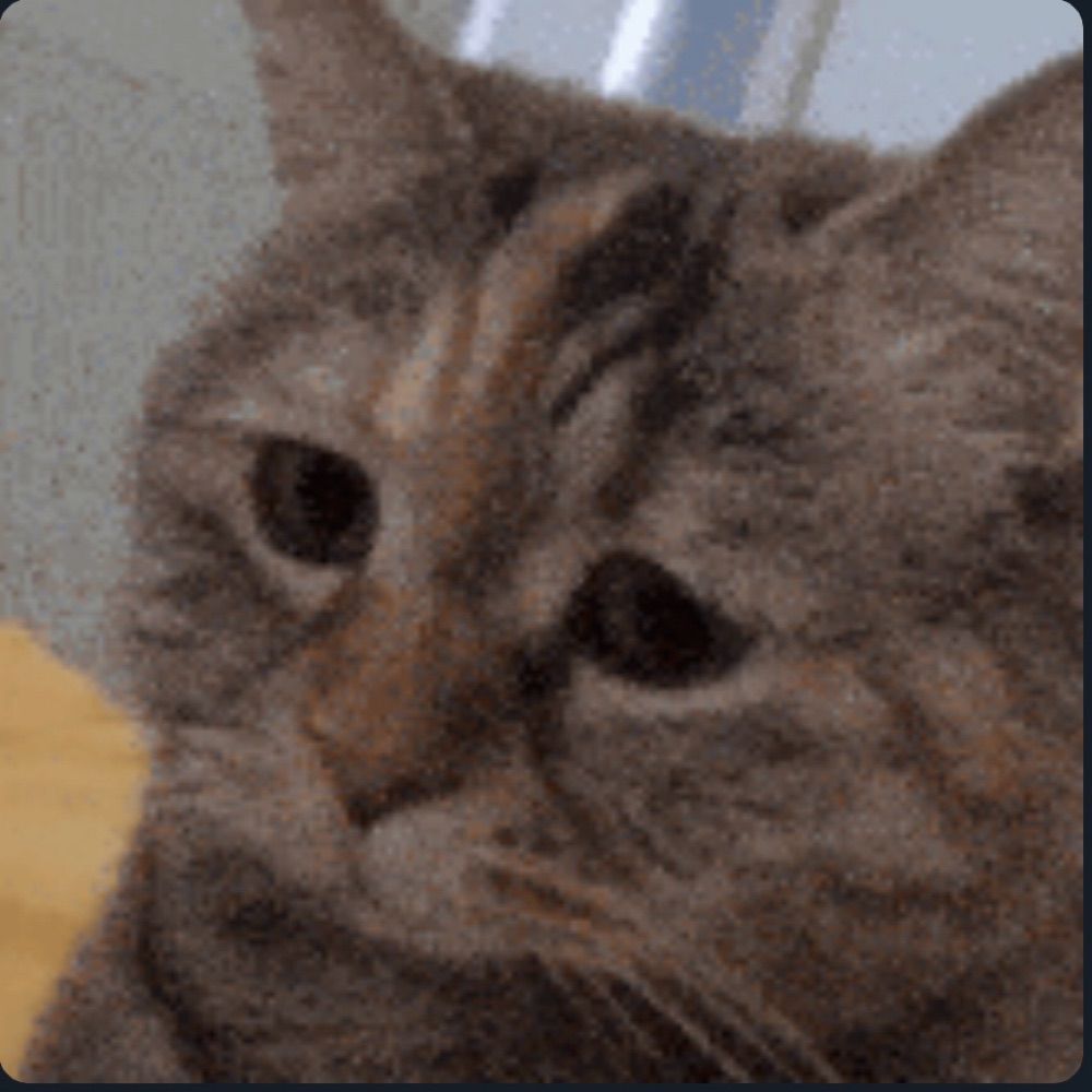 User avatar