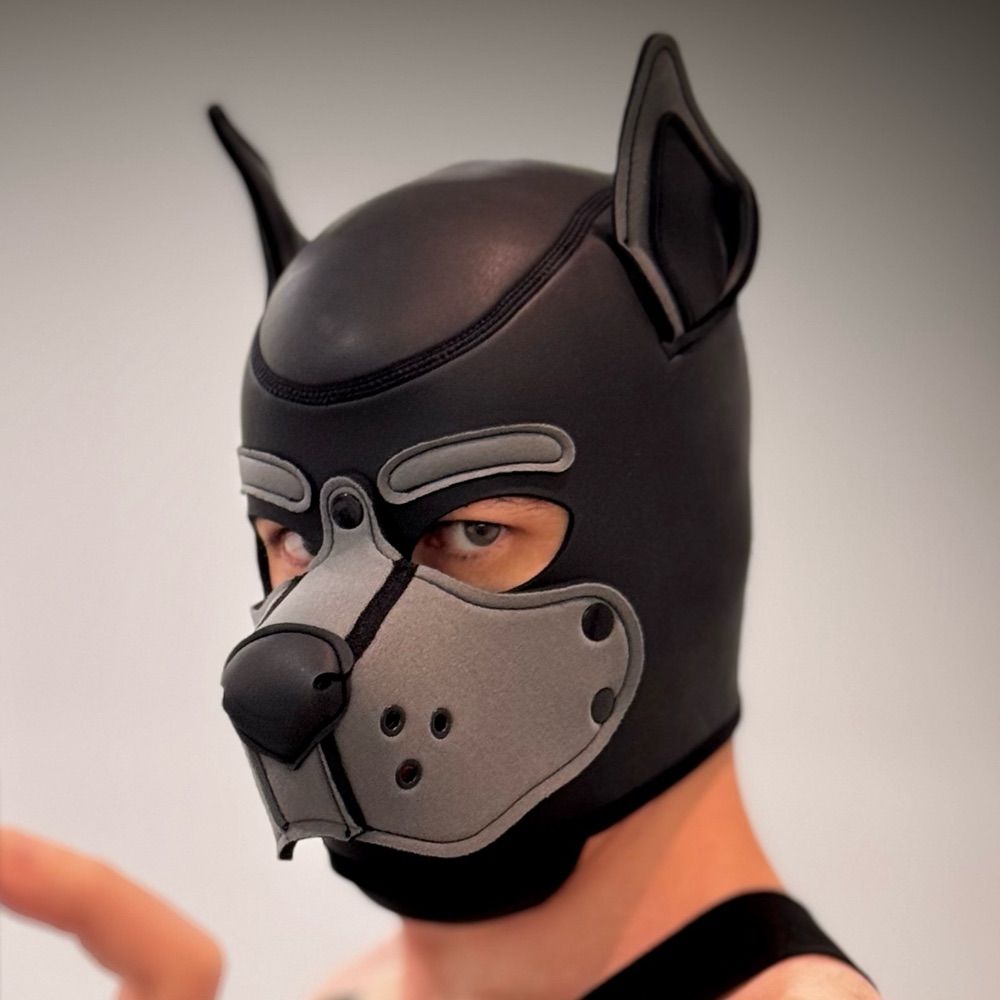 Pup Max 🔜 Klub K9 Notts