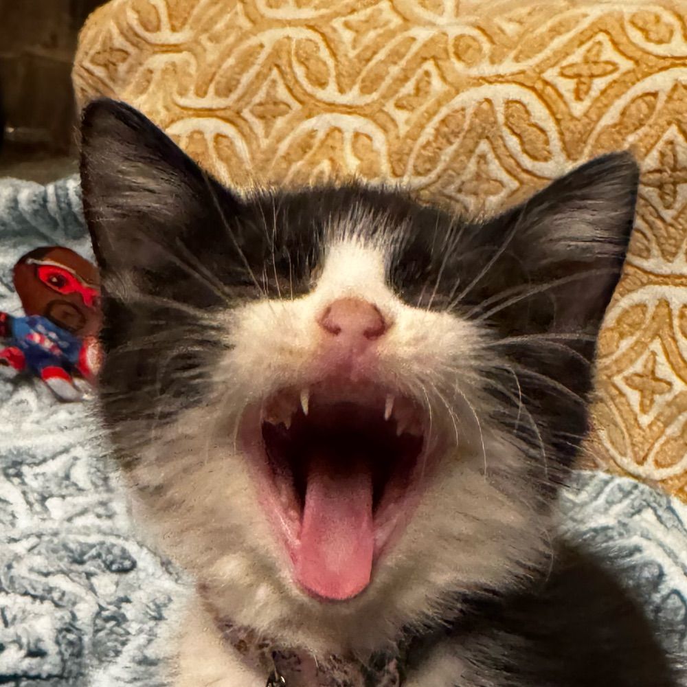 JT