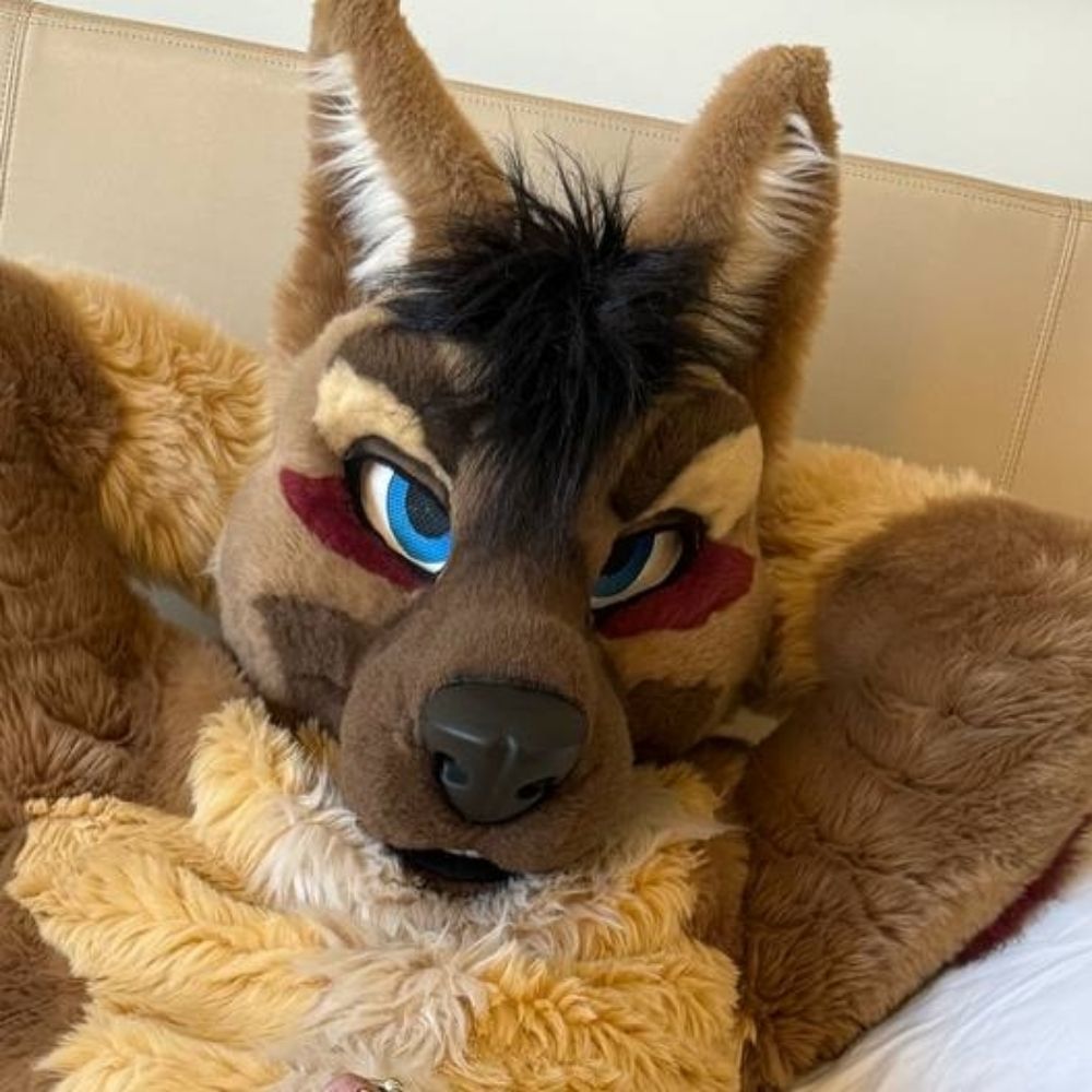 Big Horny Shep @FWA