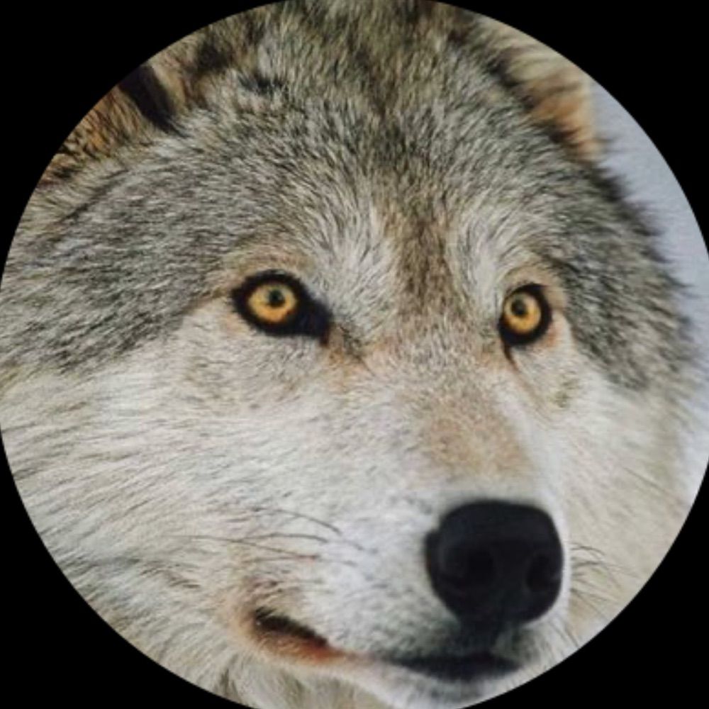 Living With Wolves