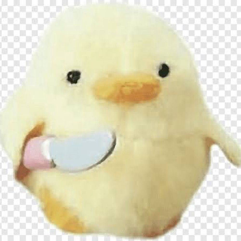 buscaglia.bsky.social