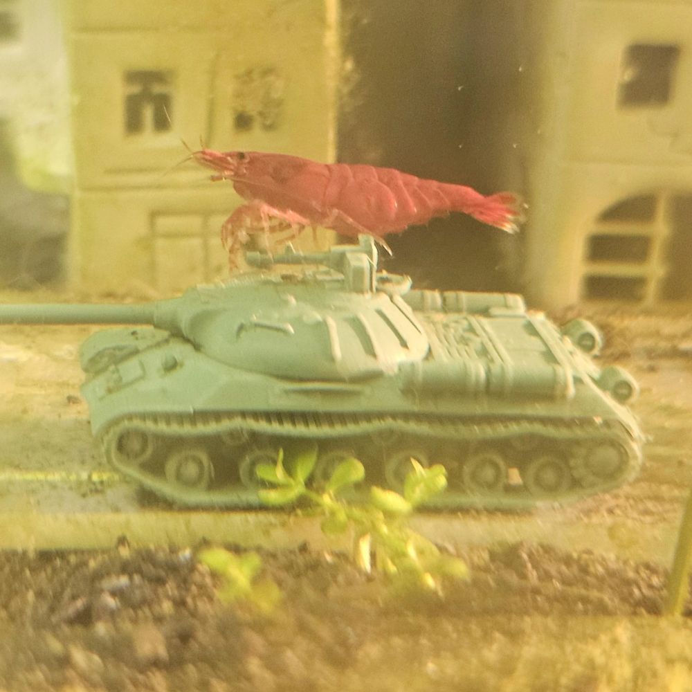 amnesiatron.bsky.social profile picture