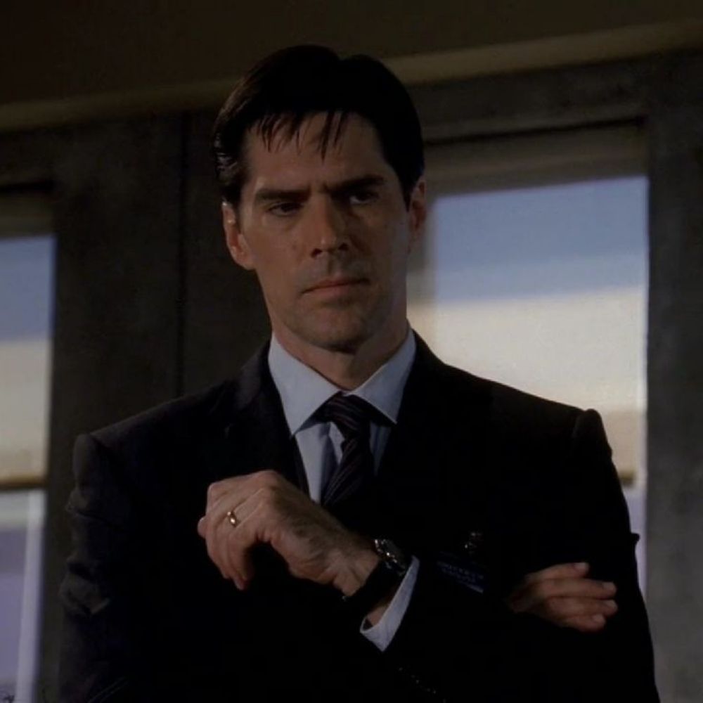 daily aaron hotchner 