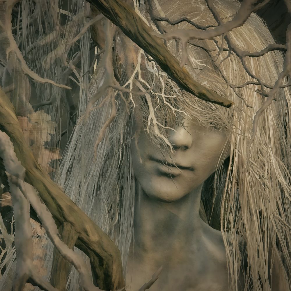𝑂𝑚
