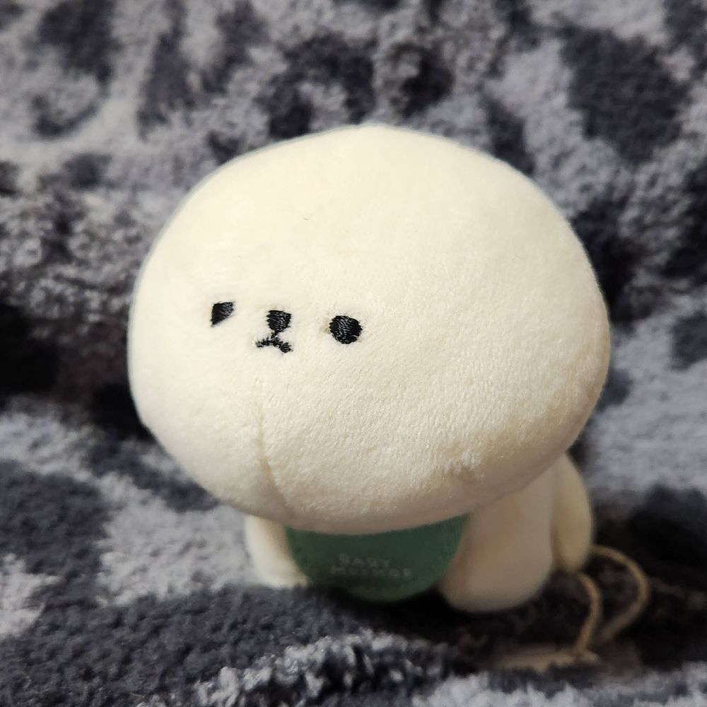 あぢこ