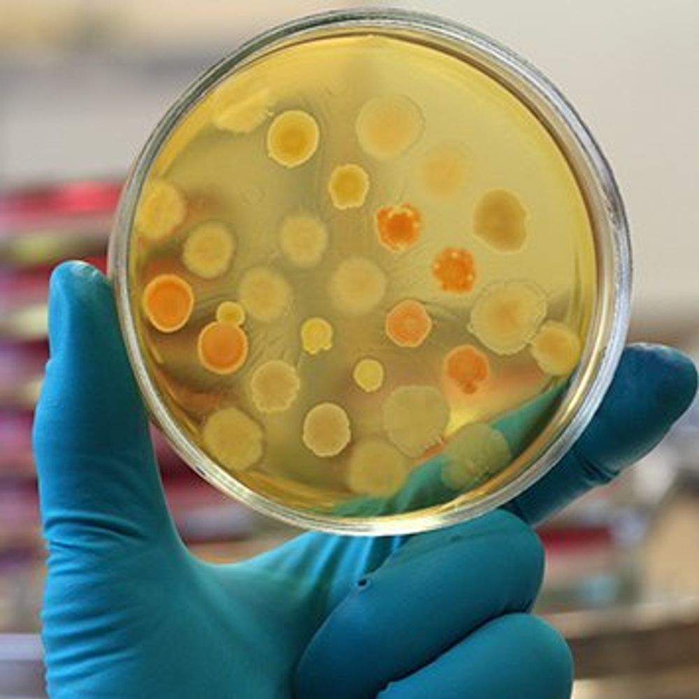 Open Innovation Hub for Antimicrobial Surfaces