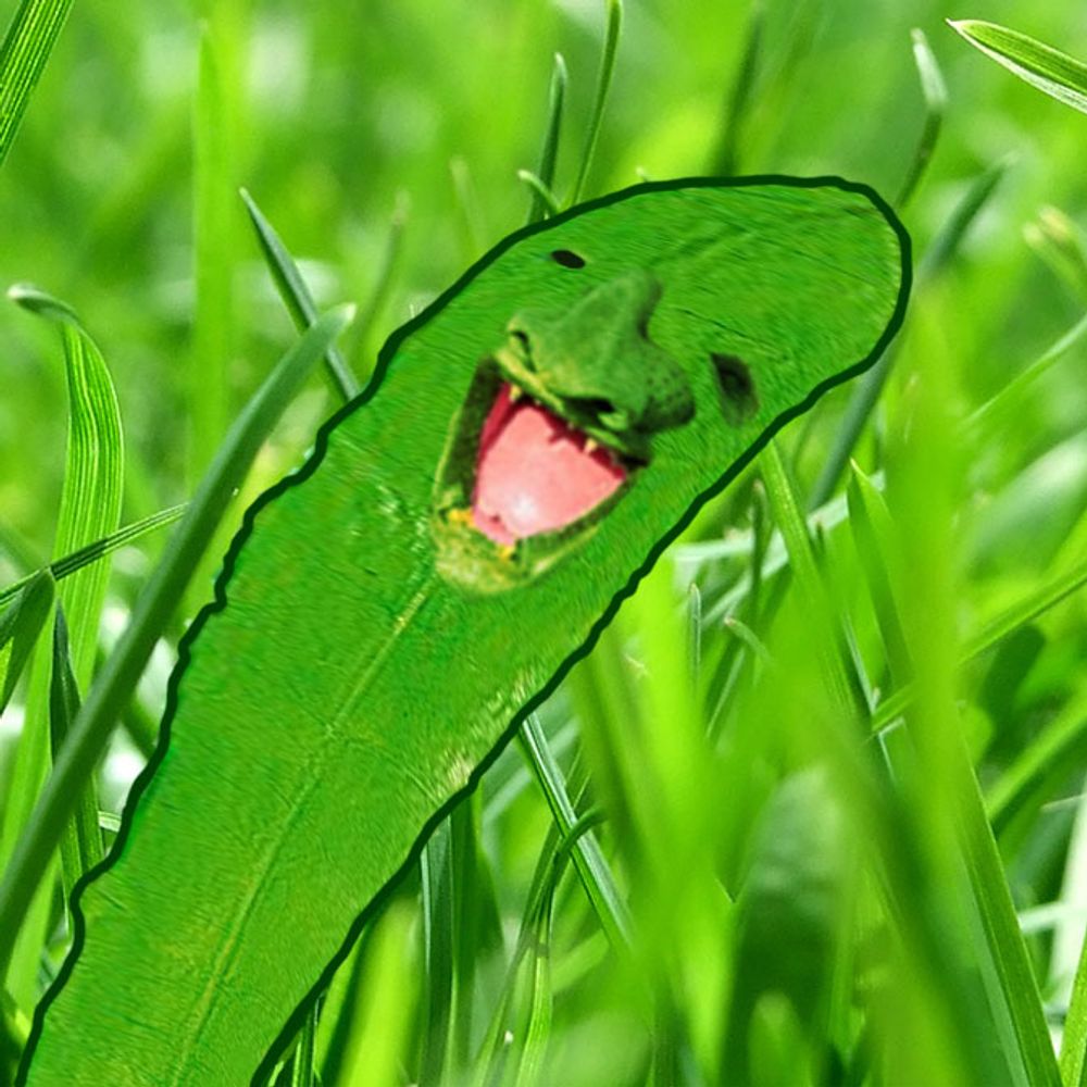 Egascht