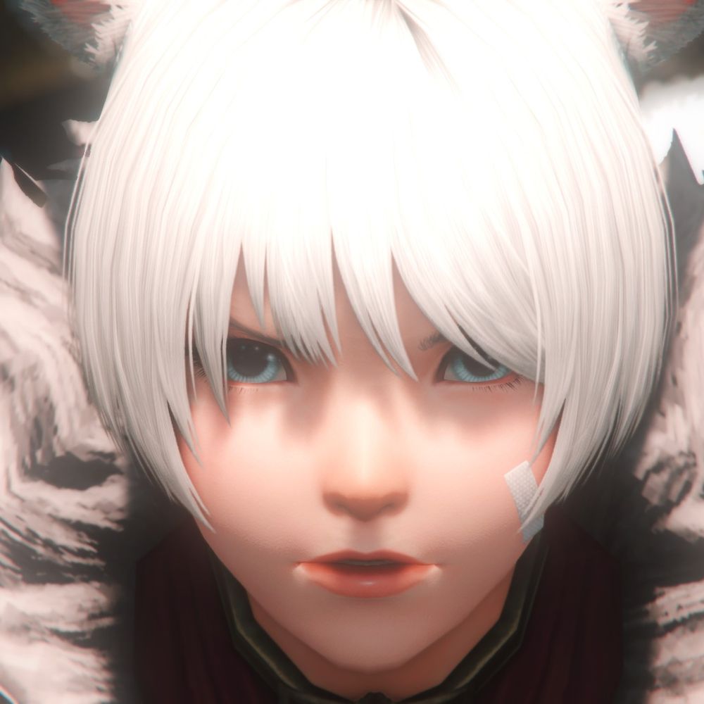 Alyce The Stray