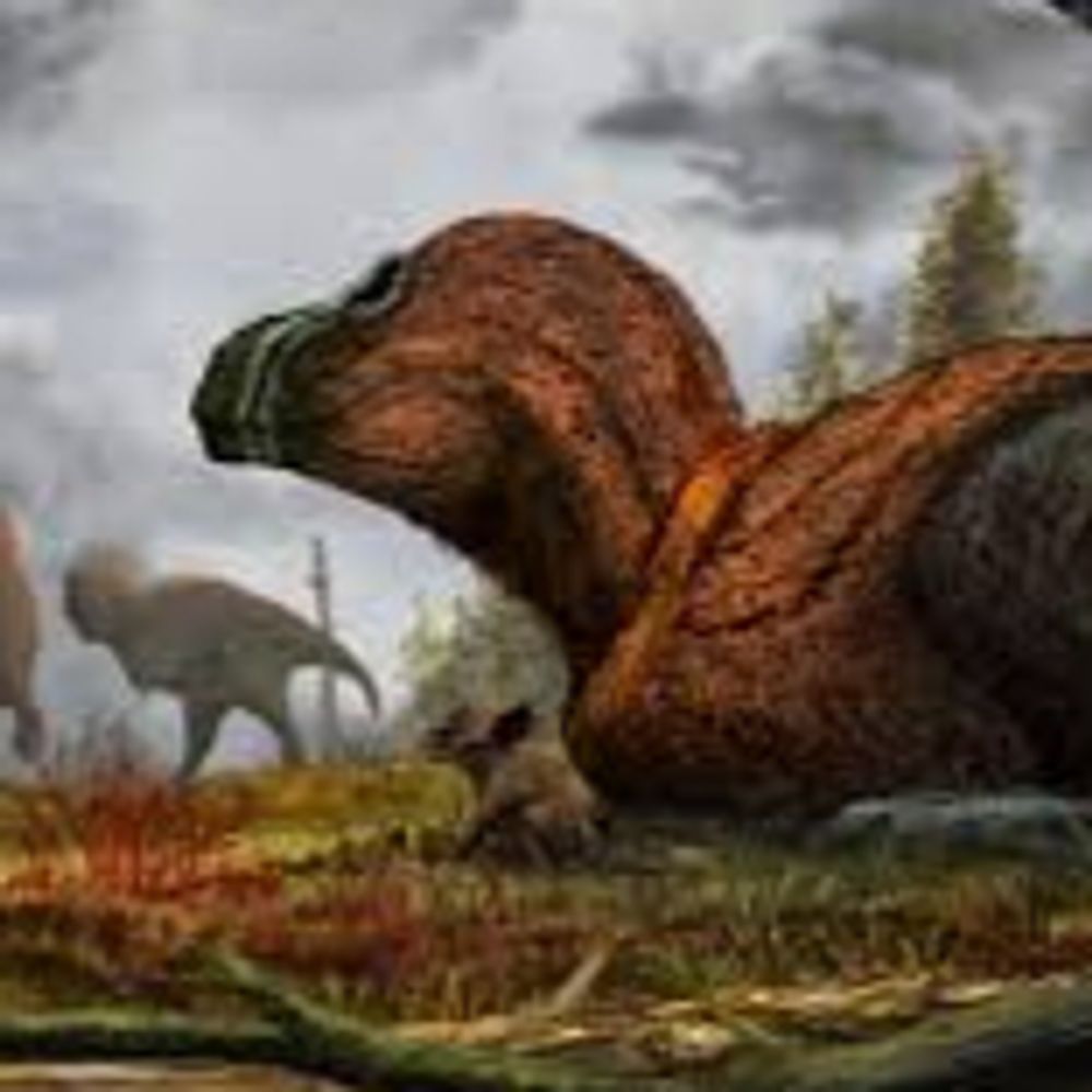 Neroraptor