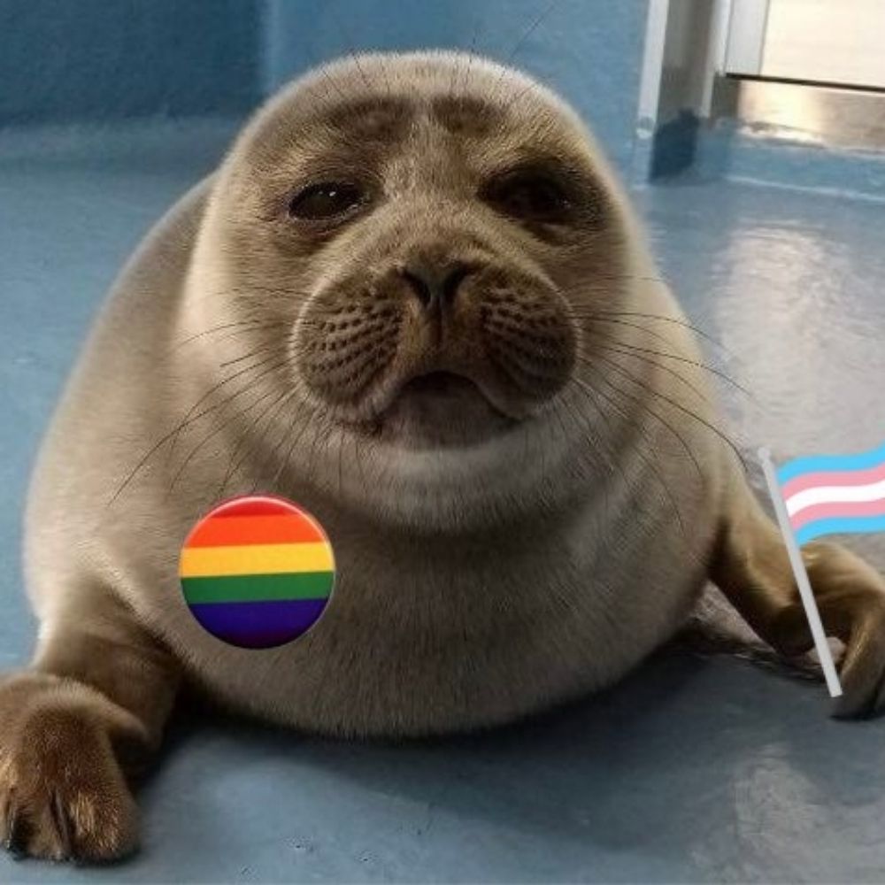 Seal_Gaming2🦭🍉