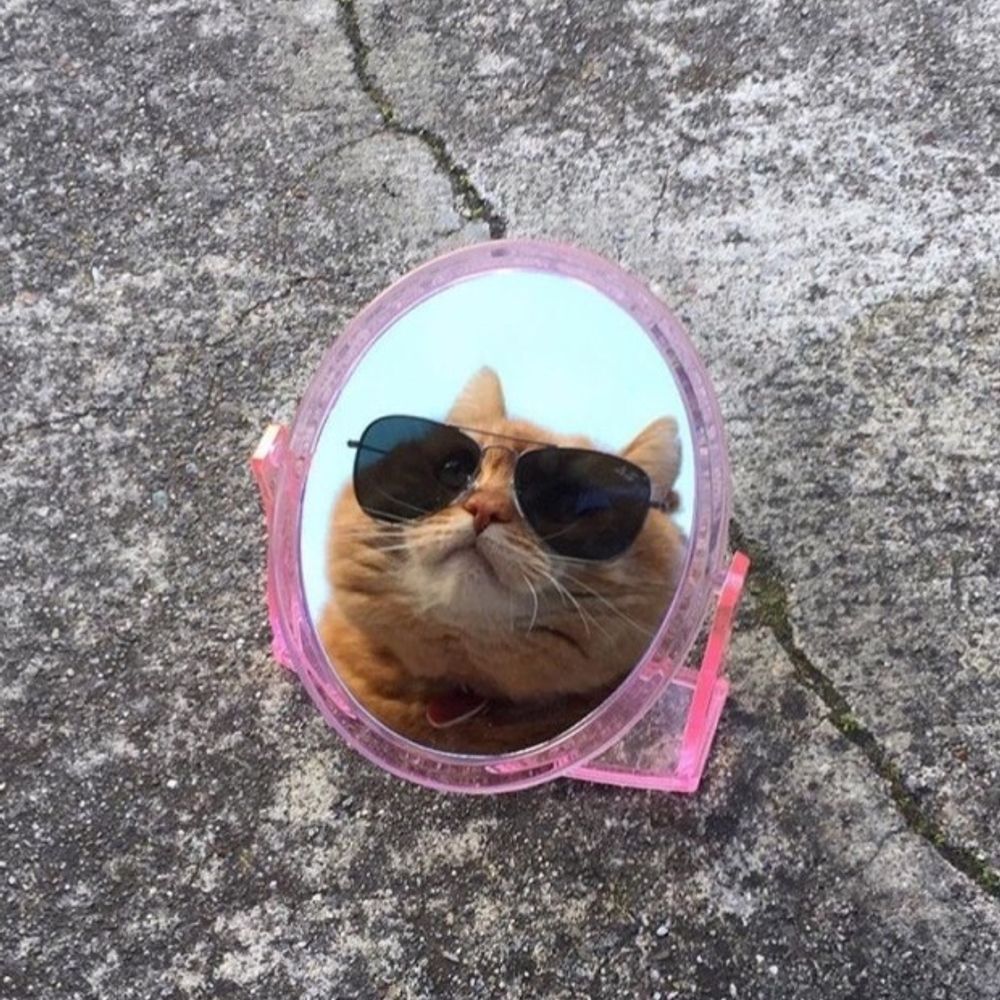 포롱