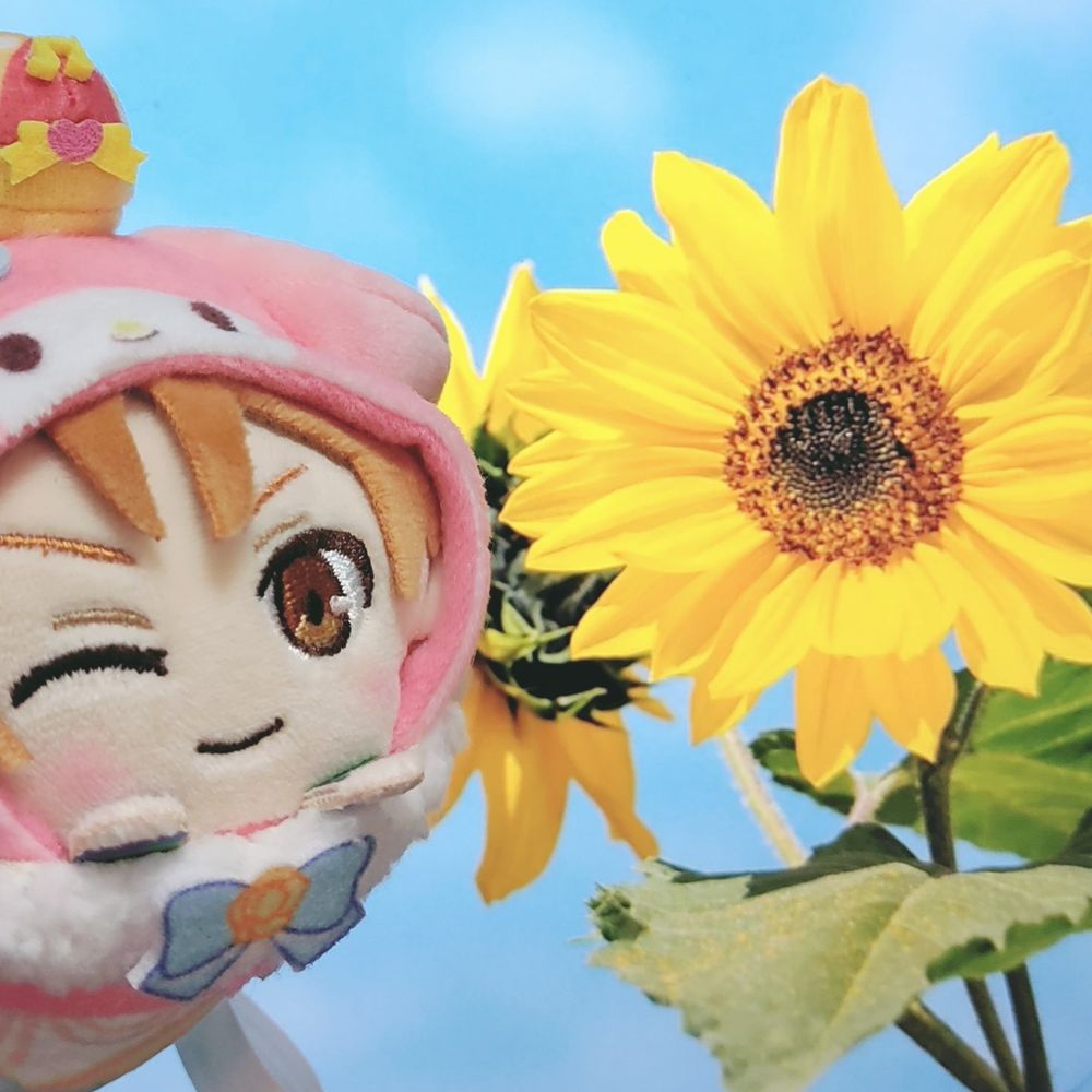 🫠 ぴ こ ぴ 🫠