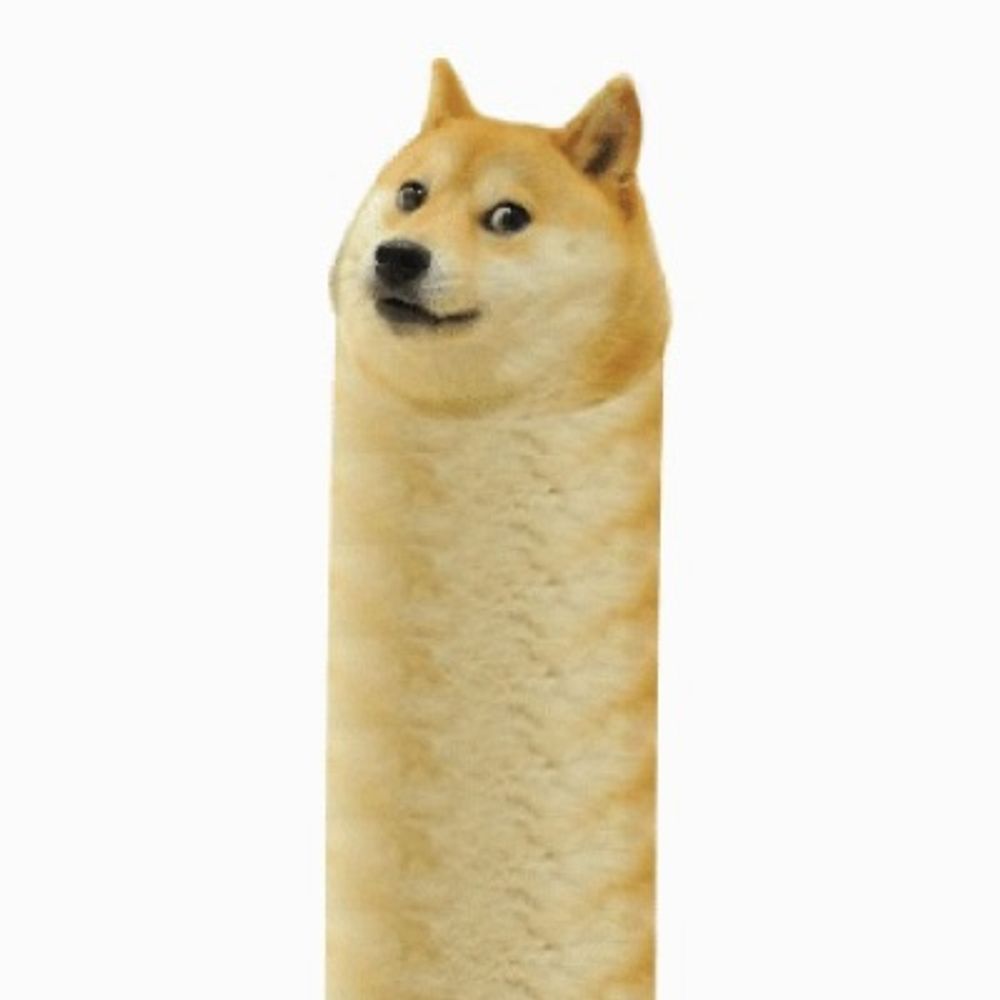 DDoS Dog