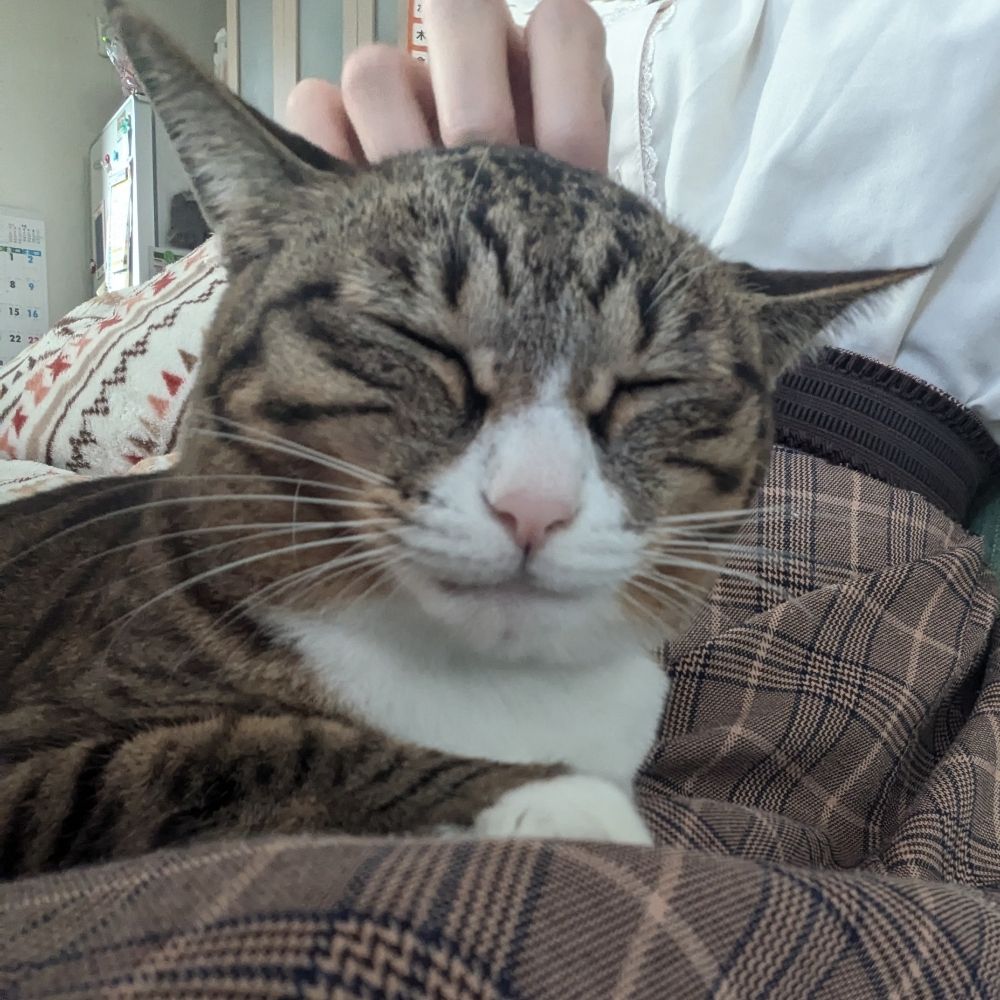 あんもも