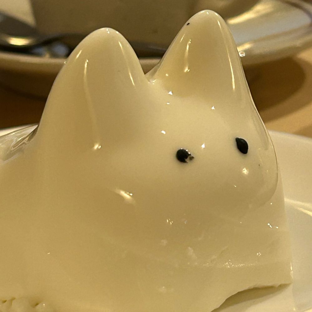 はちこ