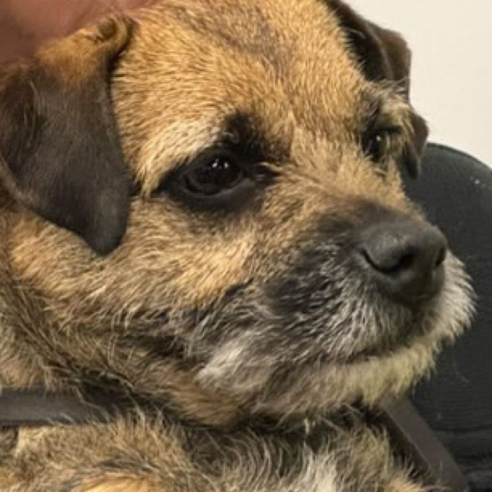 fedenotari.bsky.social