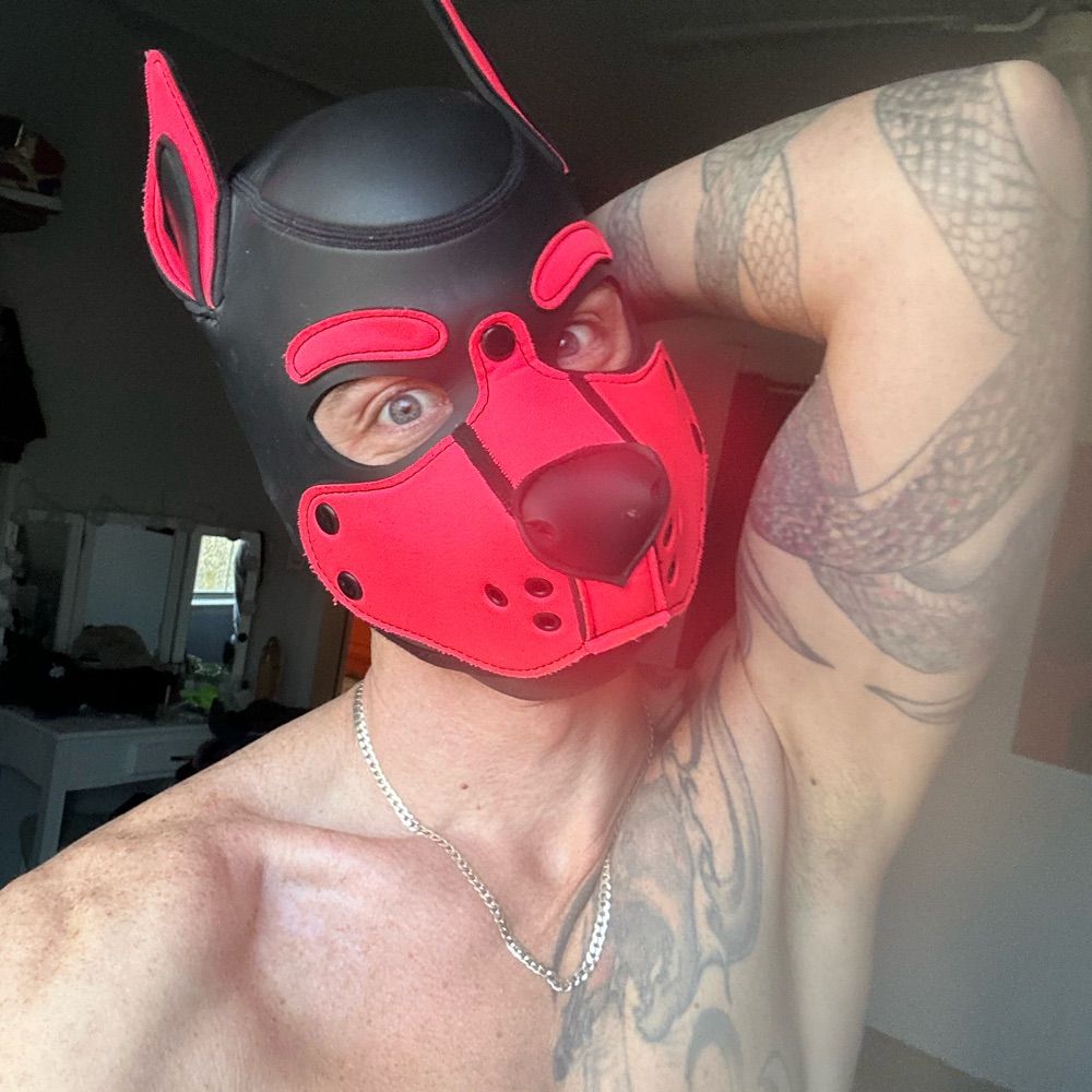 Pup Torque
