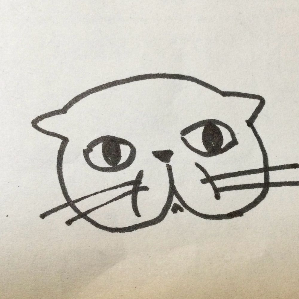 もこもこもこ