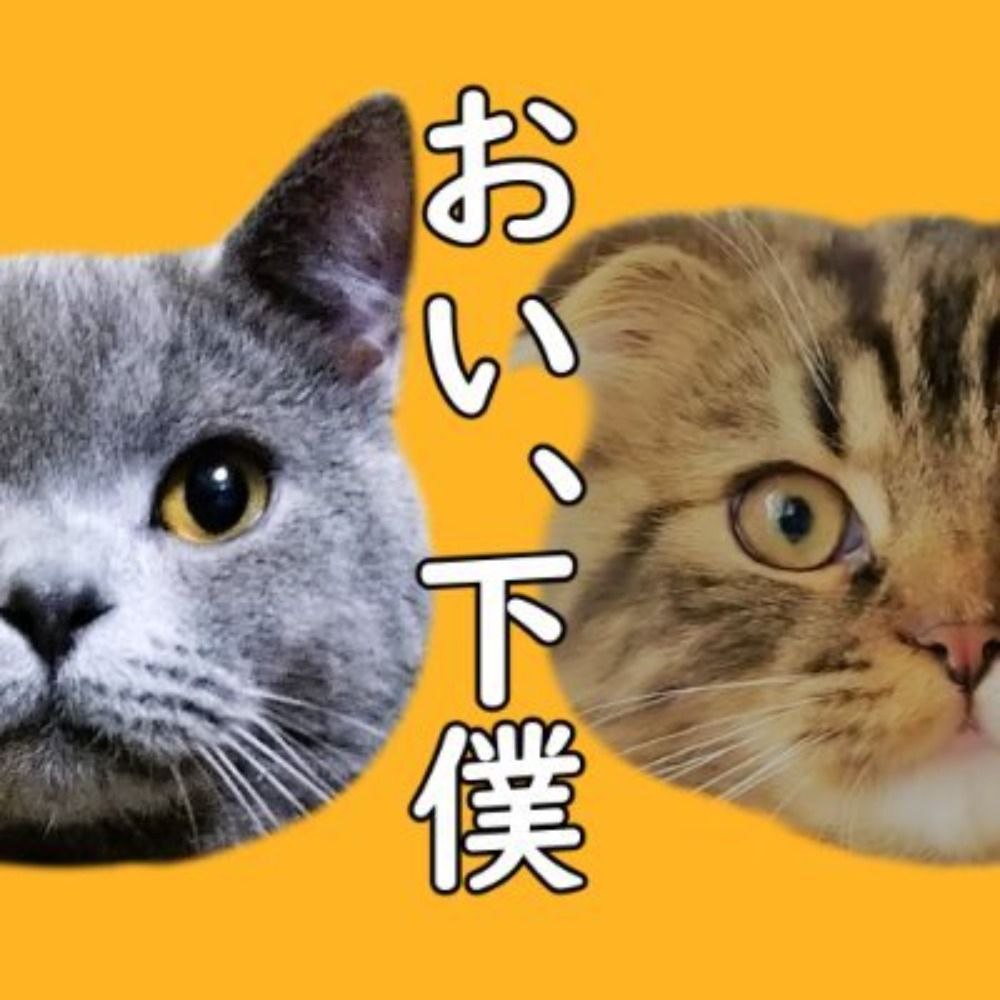 猫とごはん