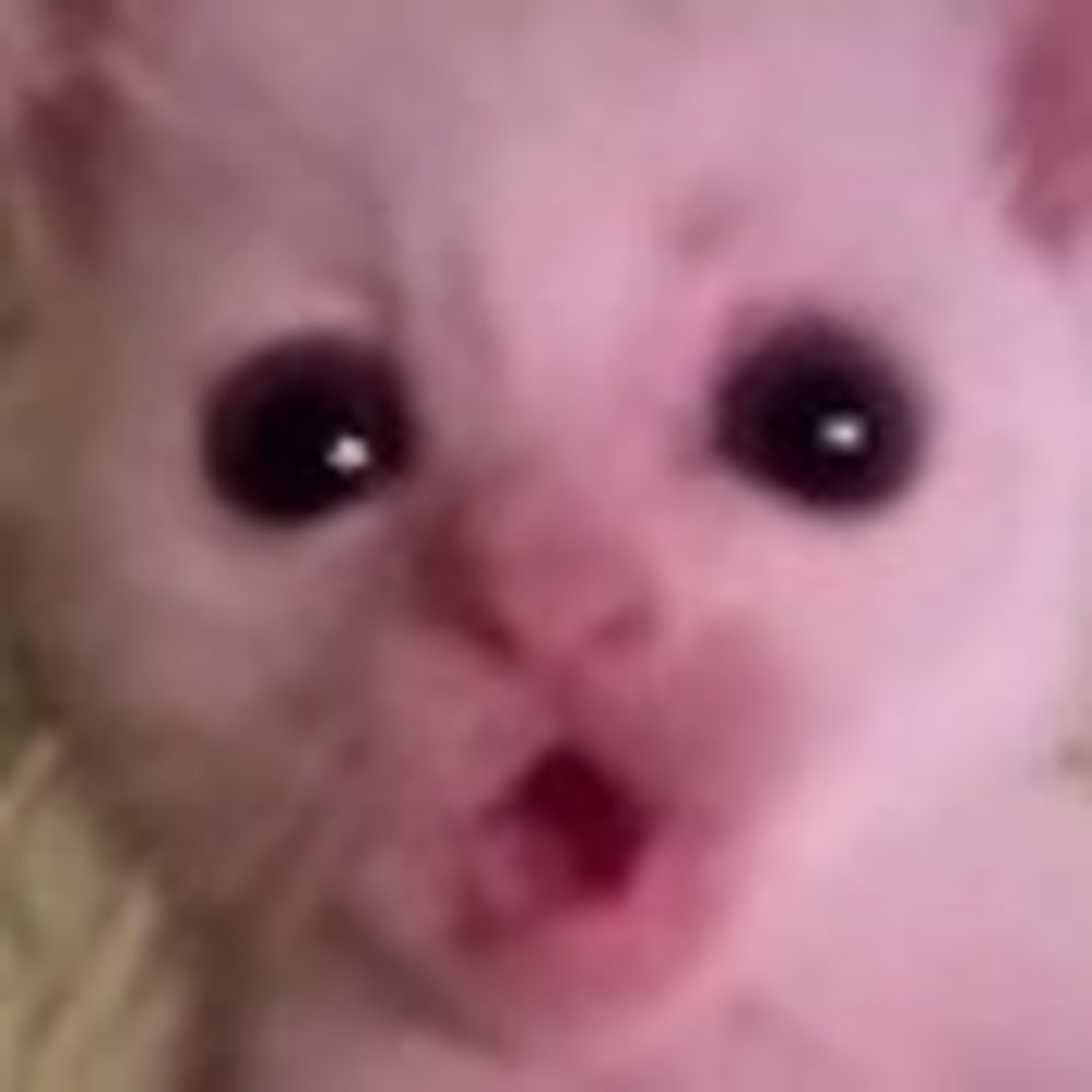 s-ono