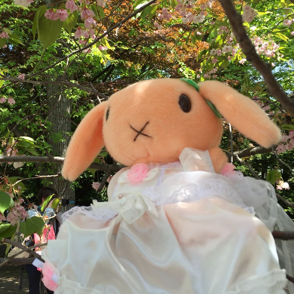 みらぱら