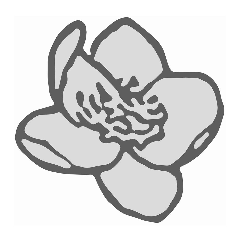 Caltha - nature of metal